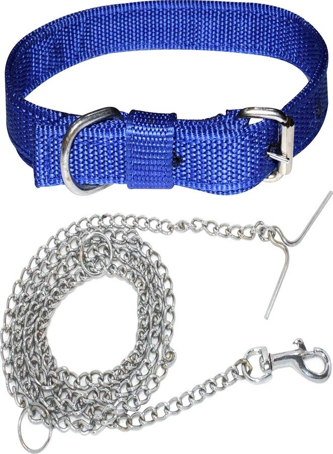 D&C PAWS Dog Belt Combo of 1 inch Blue Dog Collar with Dog S Steel Chain Specially for Small & Medium Dogs & Puppies. Dogs Collar Chain - Image 1
